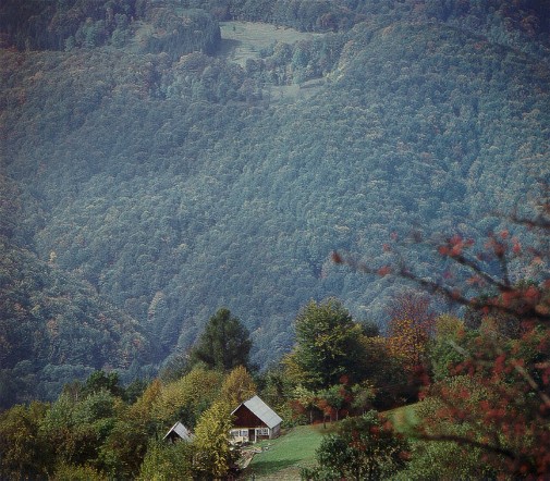 Image - Carpathian Mountains in Bukovyna (Chernivtsi oblast).